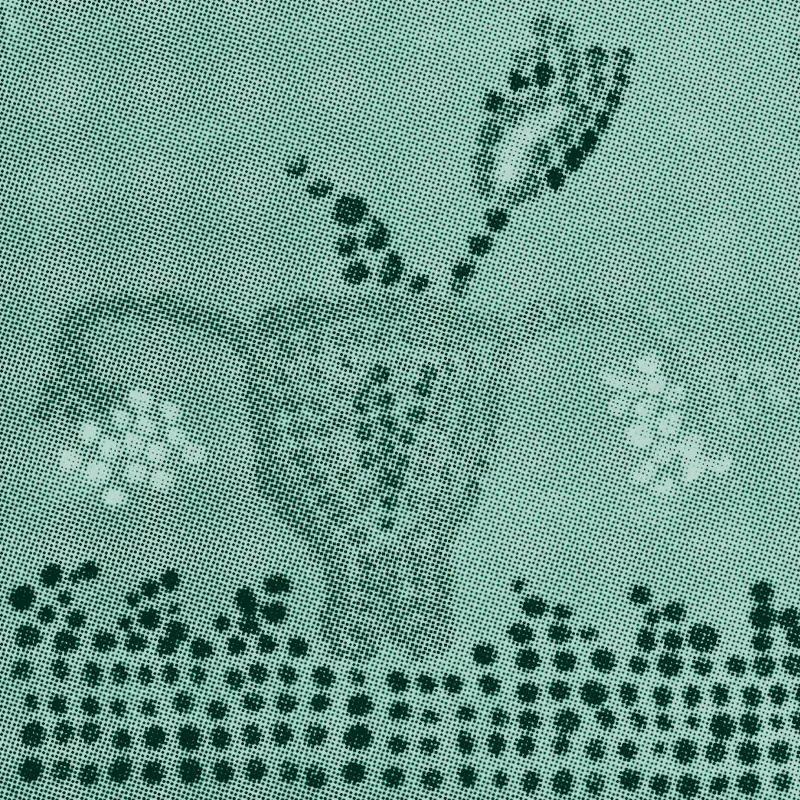 Pixels of VDB